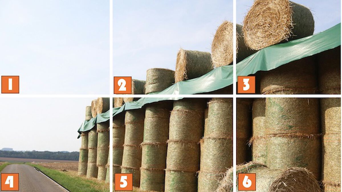 Needle in a Haystack image number null